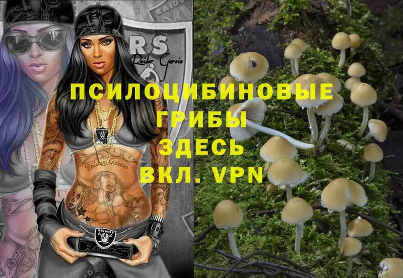 Галлюциногенные грибы Magic Shrooms  Майский 